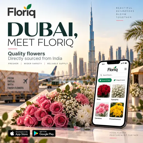 🌸 Dubai, Source Fresh Flowers Directly from India
Get quality wholesale flowers from Indian farms, with reliable procur