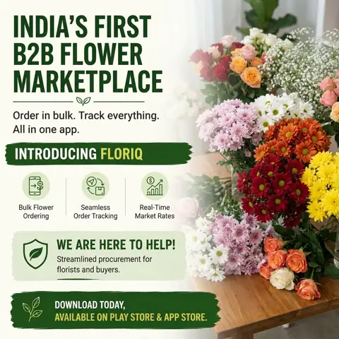 🌸 Introducing Floriq — India's First B2B Flower Marketplace.

Floriq simplifies flower procurement for florists, event 